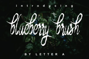 Blueberry Brush Font for Editorial Design and Content Creation