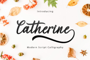 Catherine Script Font Review: An Elegant Typeface for Makers
