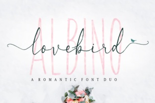 Lovebird Font Review: A Romantic Brush Script for Elegant Designs