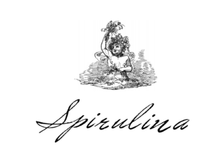 Spirulina Script Font for Campaign Clarity
